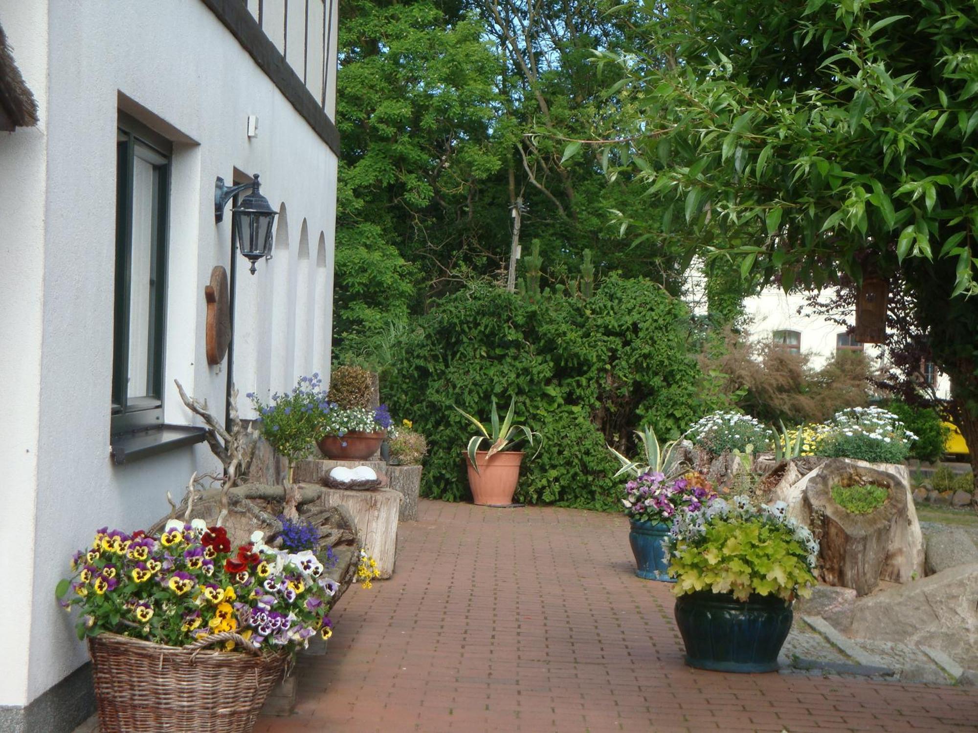 Gutspark Seeblick Kägsdorf Buitenkant foto